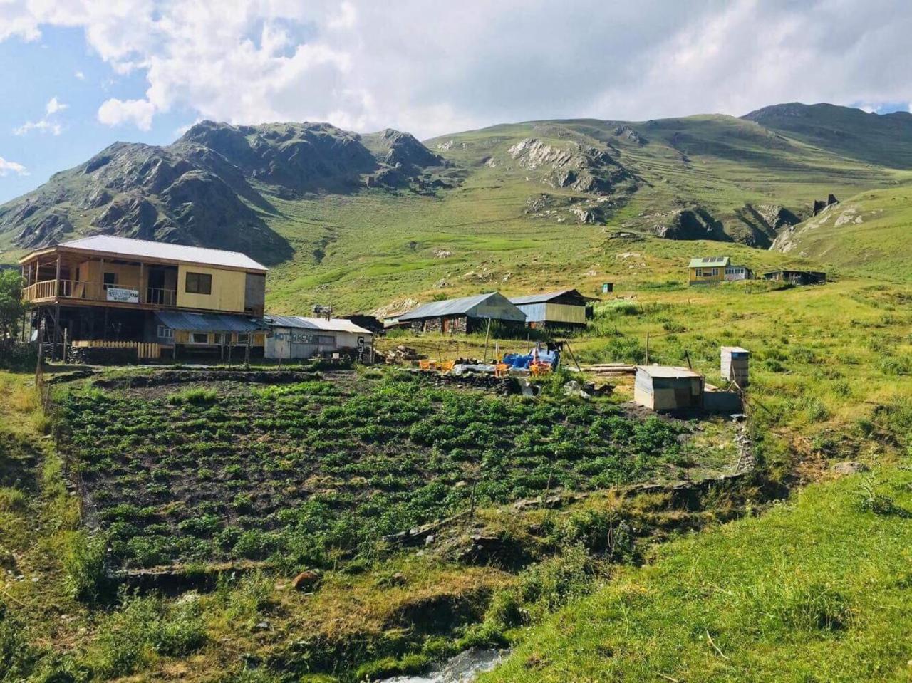 Shio'S Stonehouse In Tusheti Hostel Exterior photo